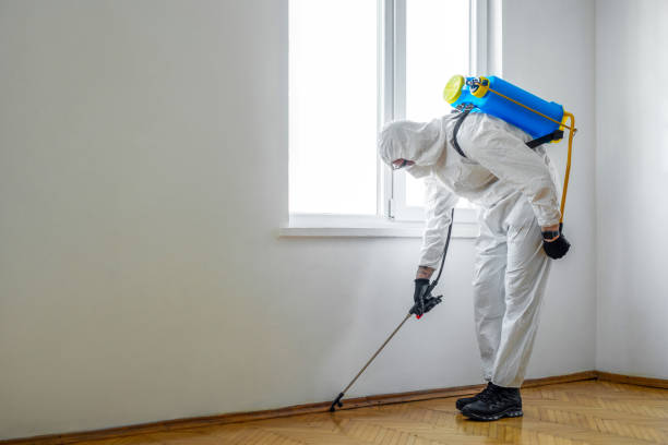 Best Residential Pest Control  in West Richland, WA